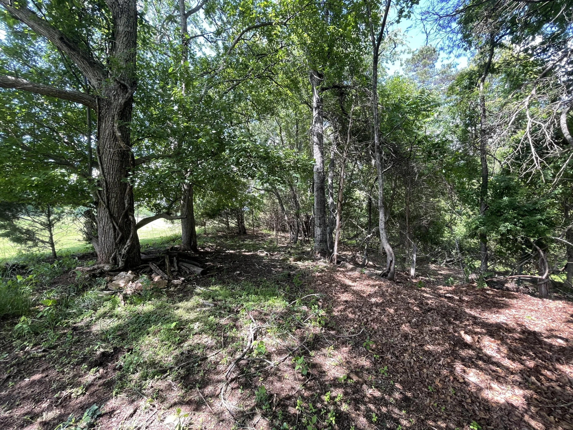 0 Virginia Byway - Photo 8