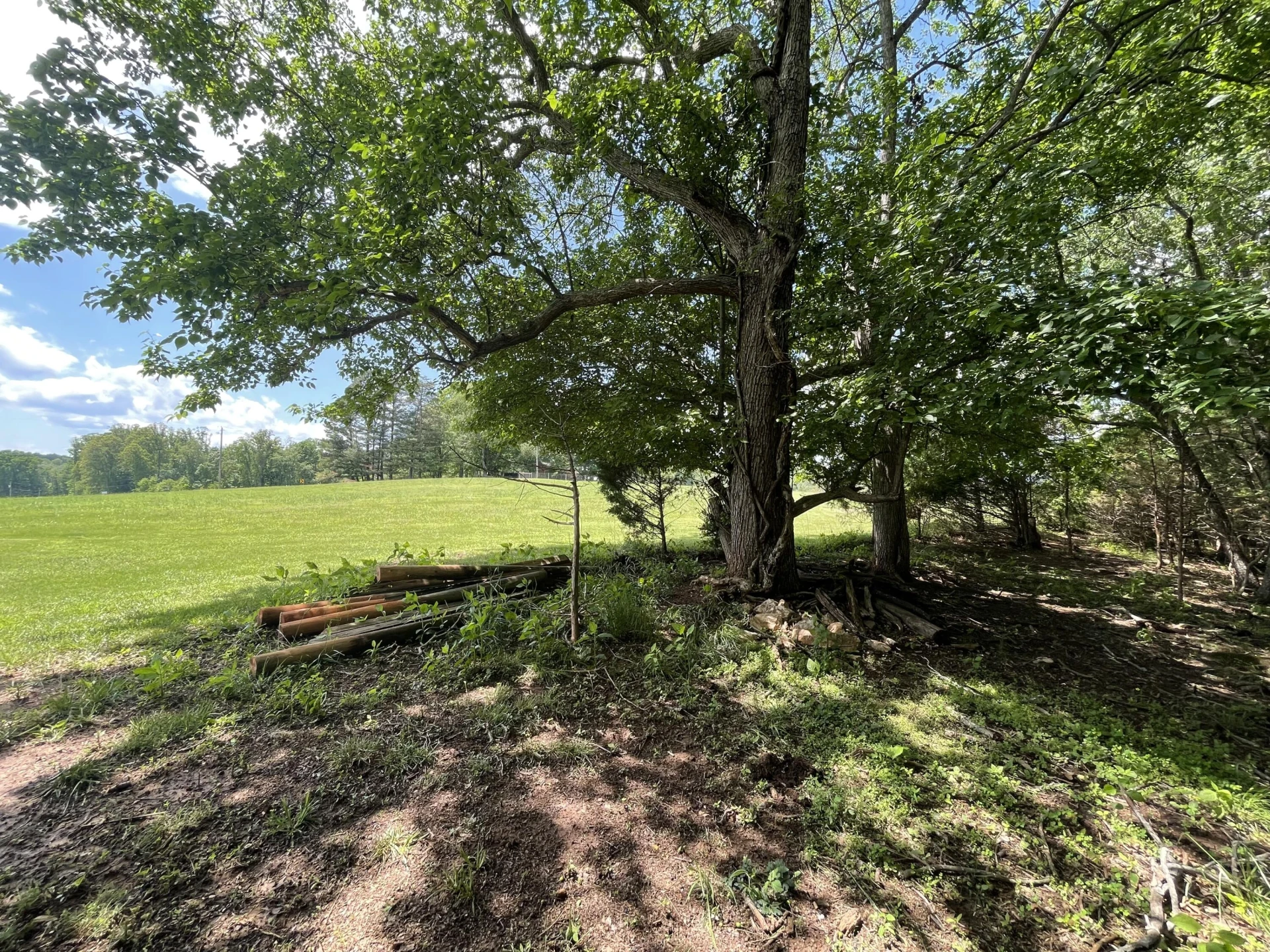 0 Virginia Byway - Photo 9