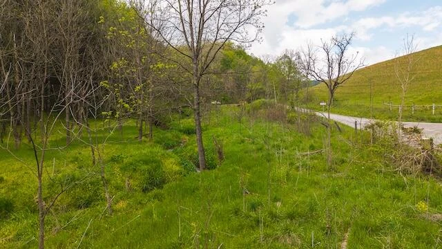 336 Turkey Run LN - Photo 23