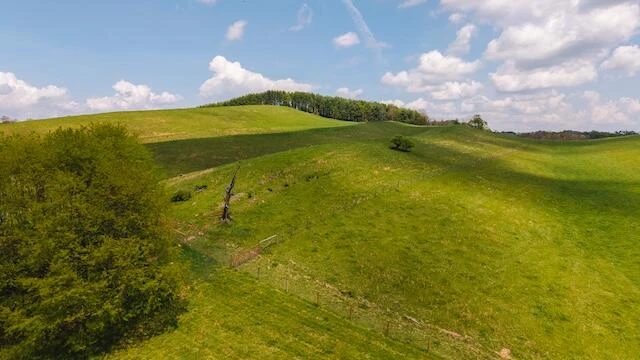 336 Turkey Run LN - Photo 30
