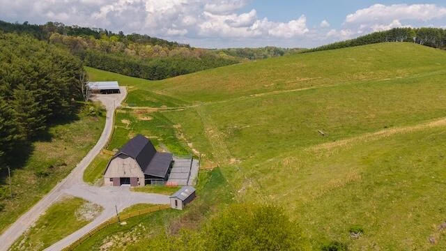 336 Turkey Run LN - Photo 31