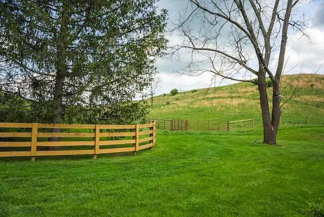 336 Turkey Run LN - Photo 36