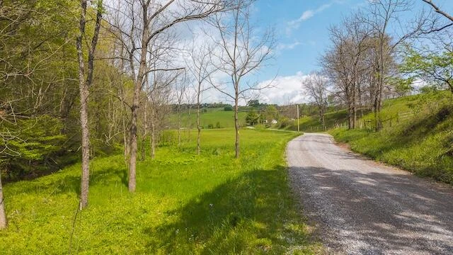 336 Turkey Run LN - Photo 40