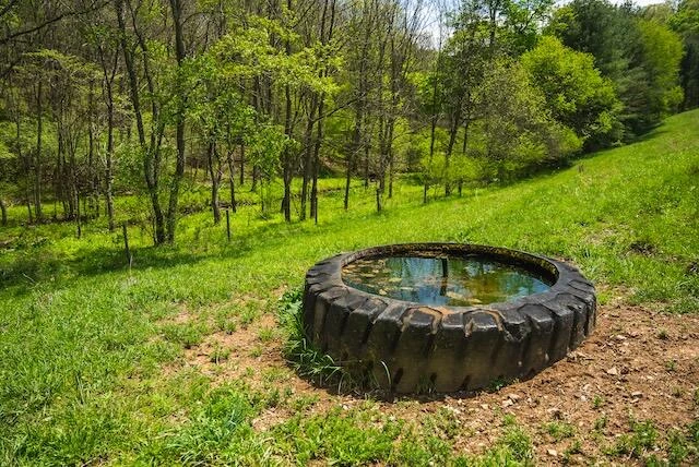 336 Turkey Run LN - Photo 41