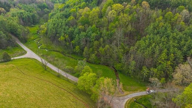 336 Turkey Run LN - Photo 42