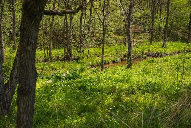 336 Turkey Run LN - Photo 44