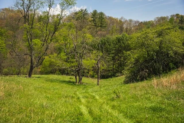 336 Turkey Run LN - Photo 45