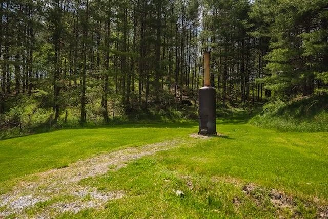 336 Turkey Run LN - Photo 53