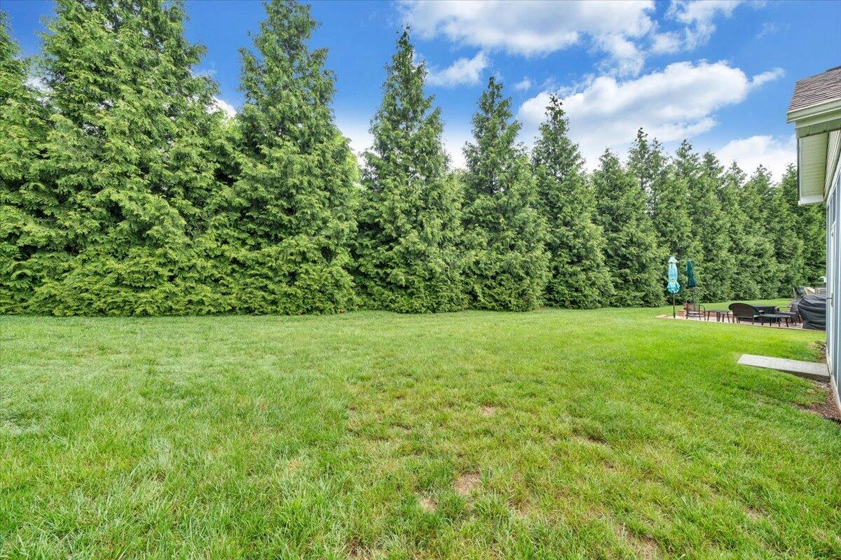 202 Cypress CT - Photo 40