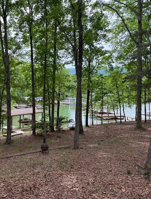 100 Lynchburg Camp RD - Photo 49