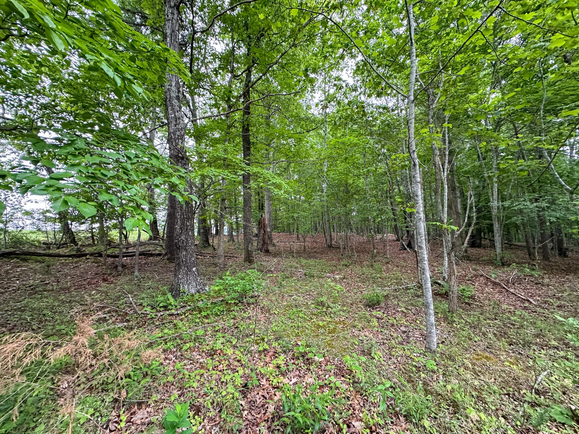 0 Rocky Ford RD - Photo 12