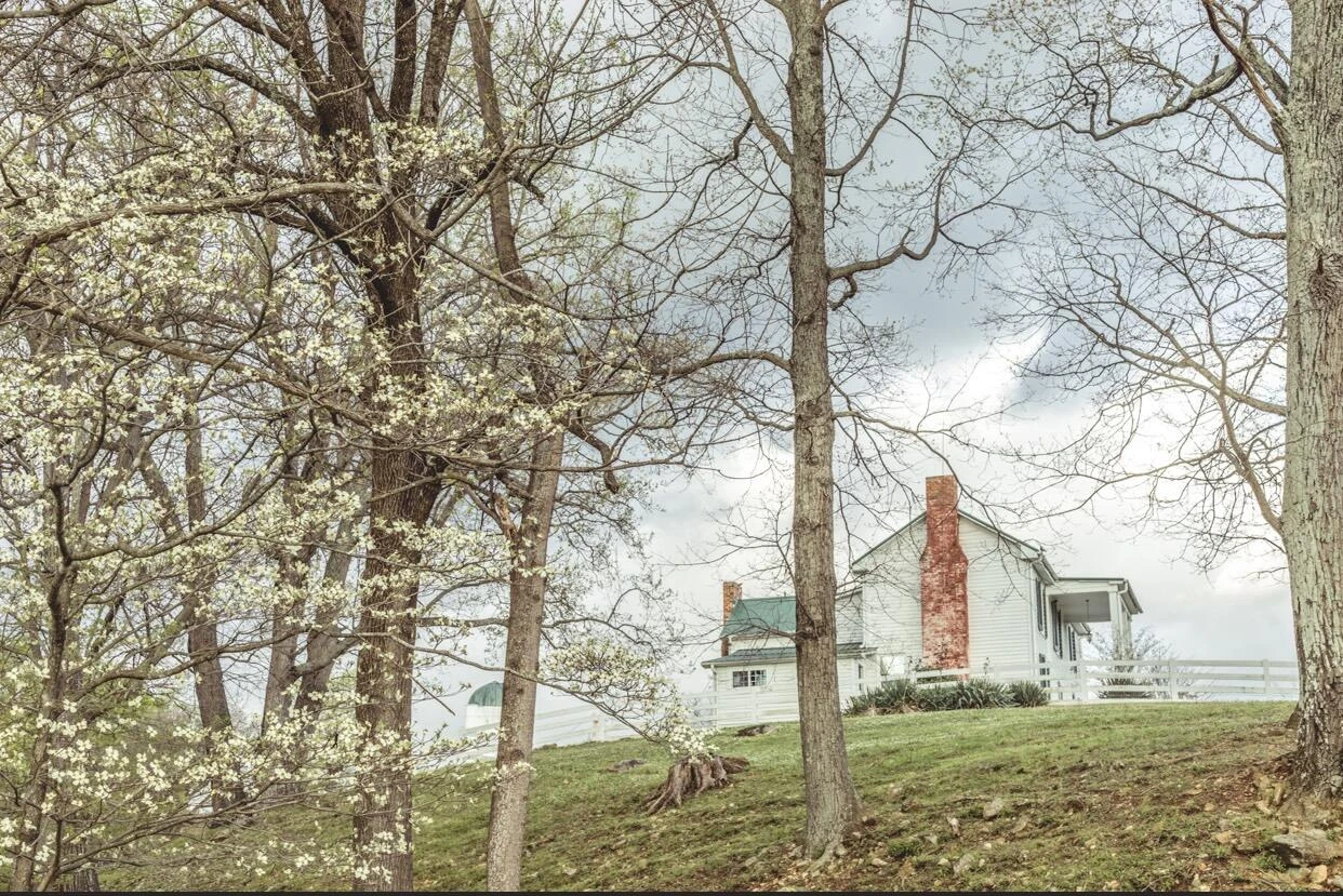 2148 Mountain View RD - Photo 12