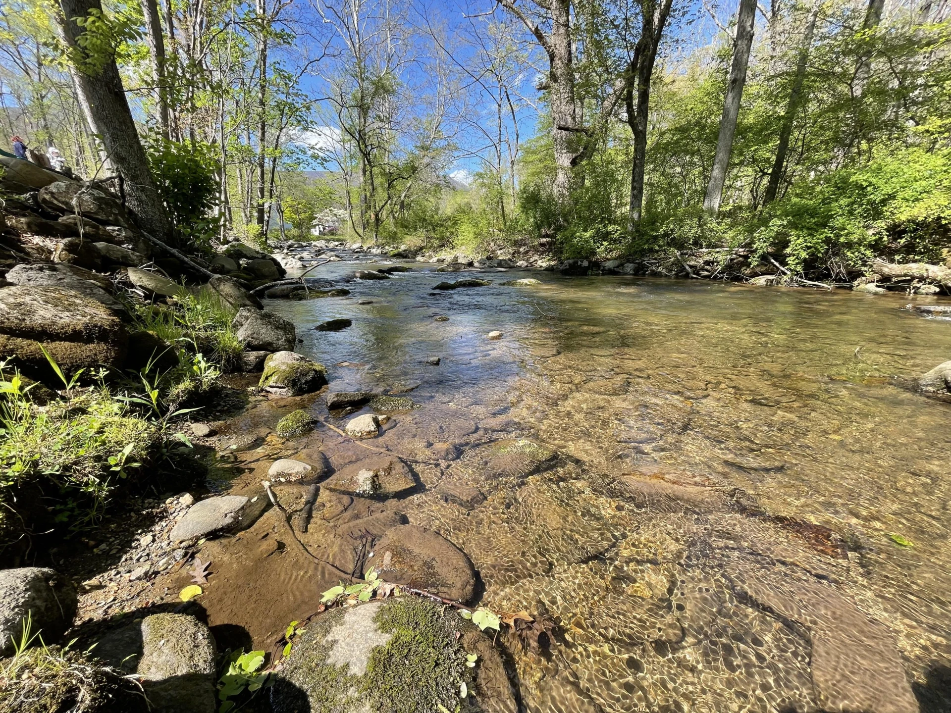 0 North Otter Creek RD