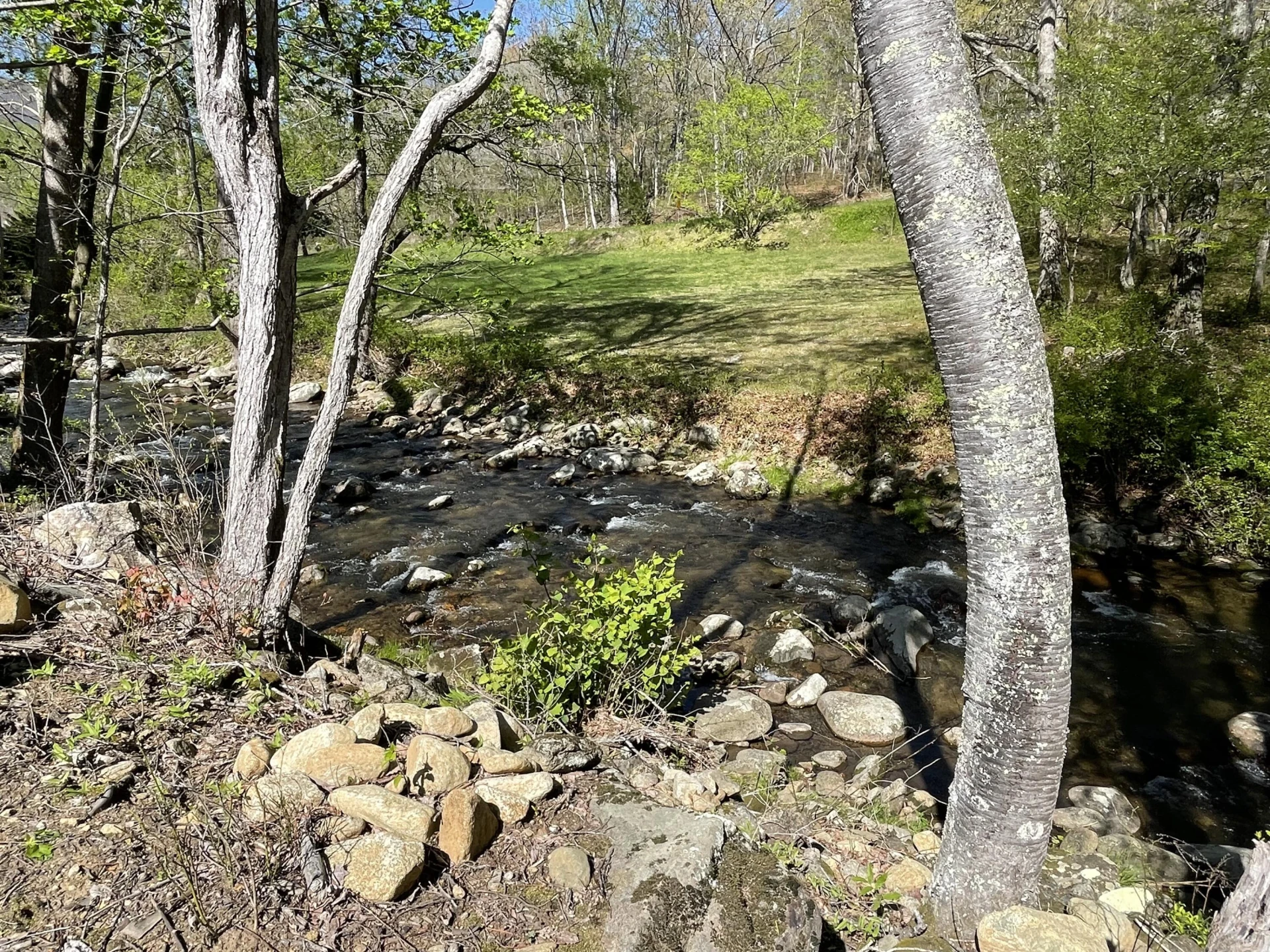 0 North Otter Creek RD - Photo 12