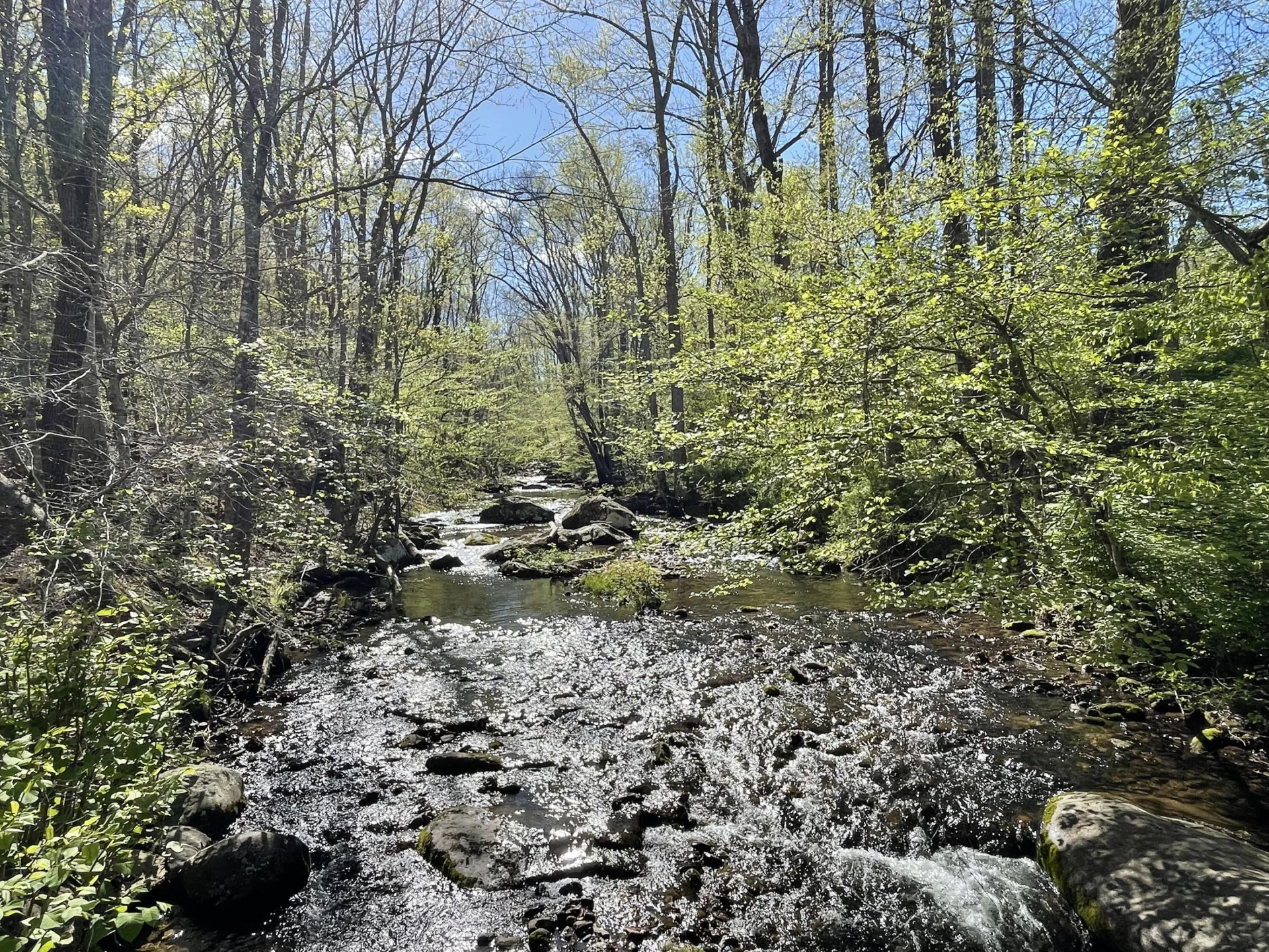0 North Otter Creek RD - Photo 6