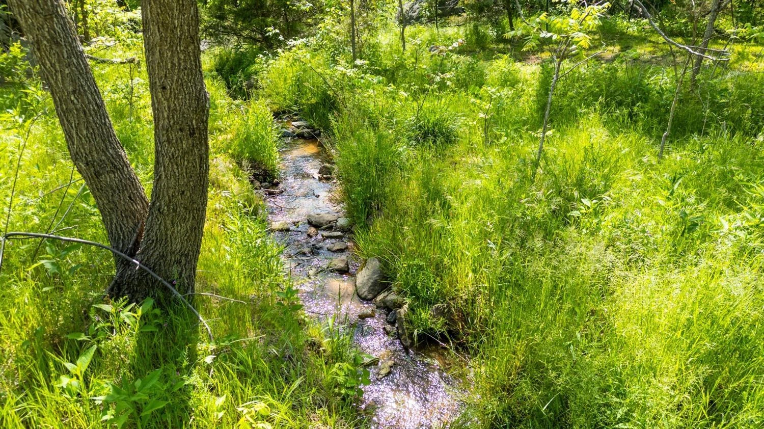1818 Owl Town RD - Photo 39