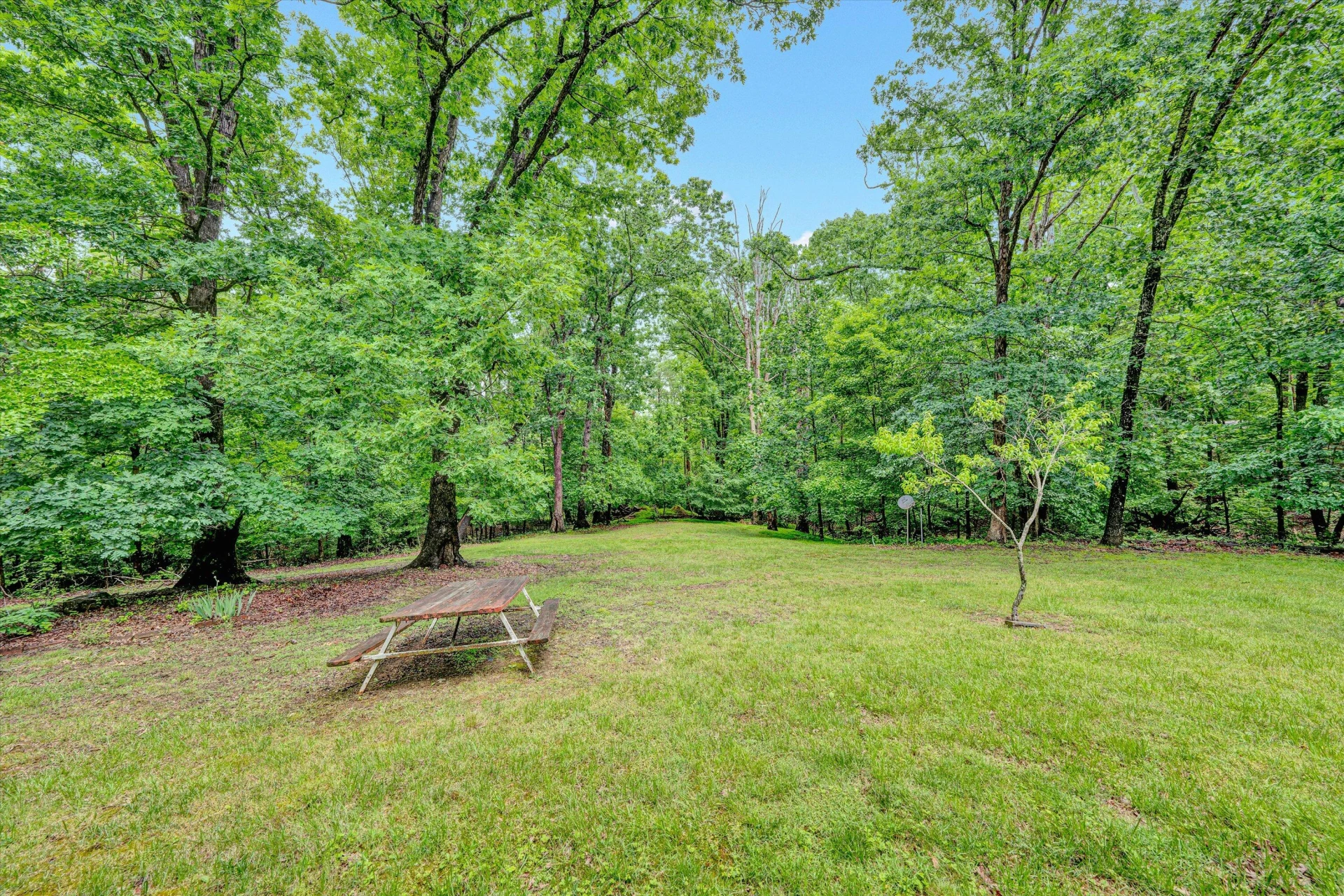 6570 Shingle Ridge RD - Photo 36