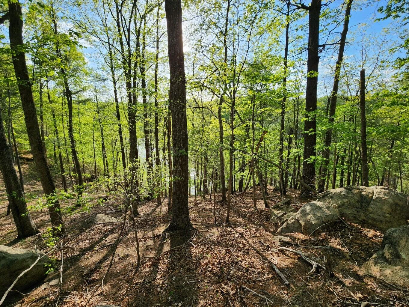 Lot 100 Lakeshore Terrace RD - Photo 10