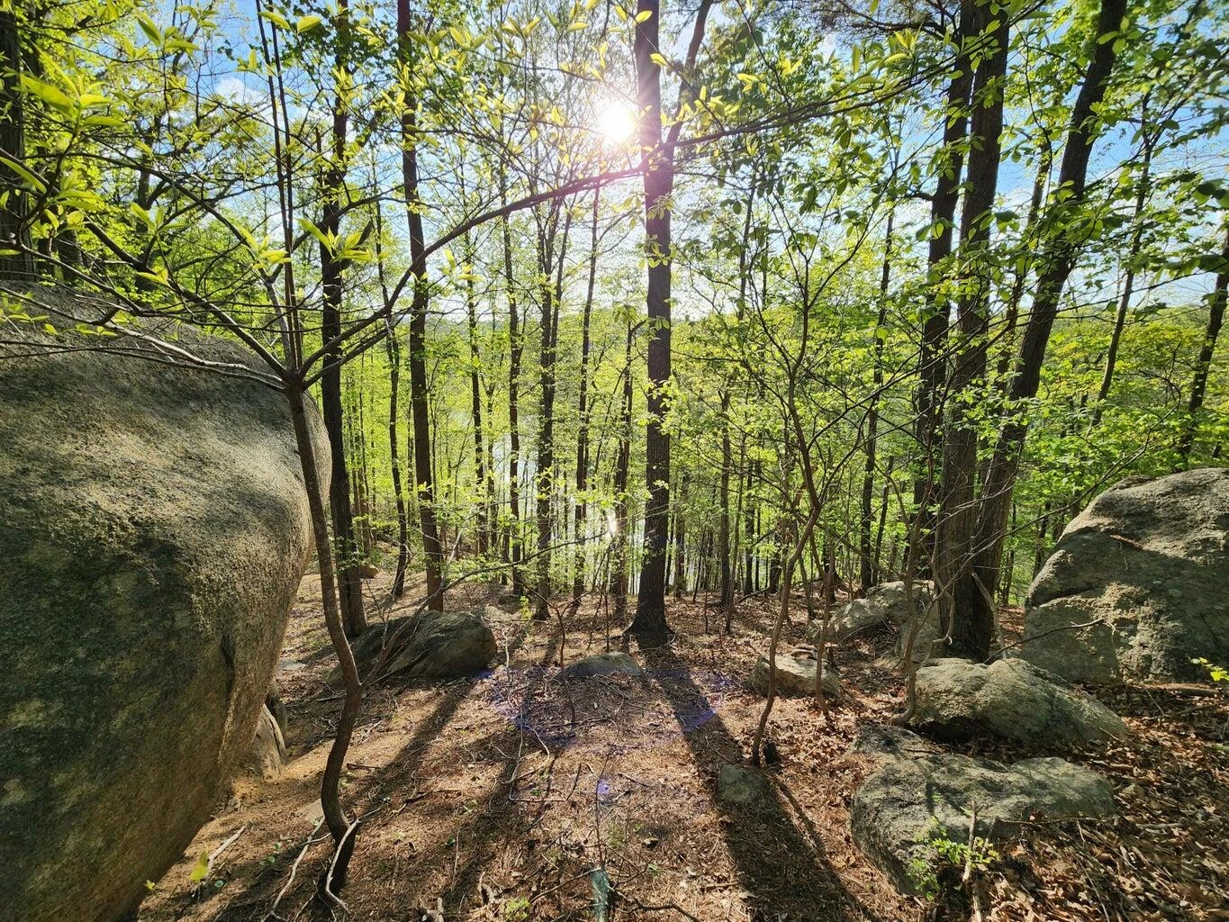 Lot 100 Lakeshore Terrace RD - Photo 11