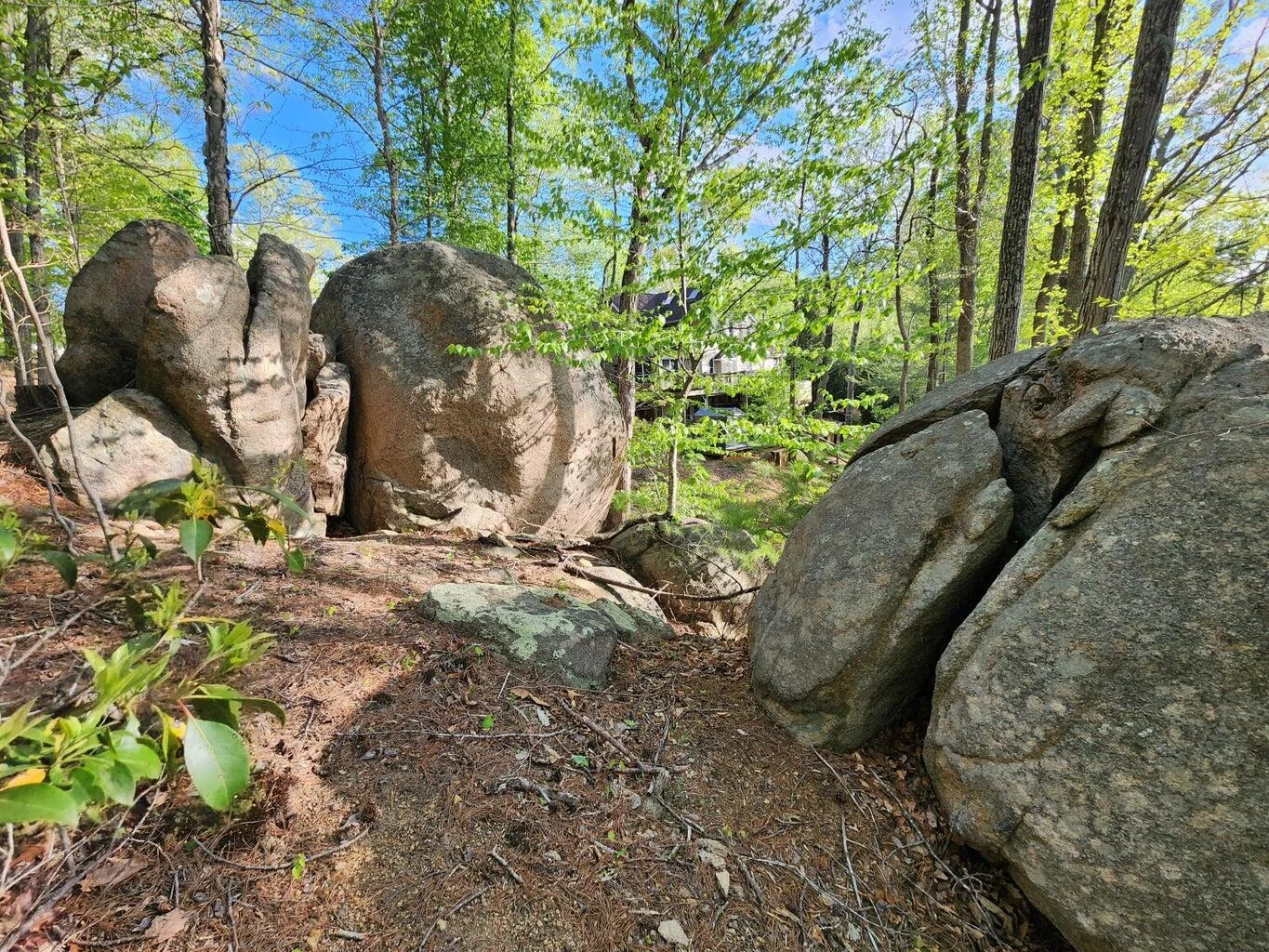 Lot 100 Lakeshore Terrace RD - Photo 12