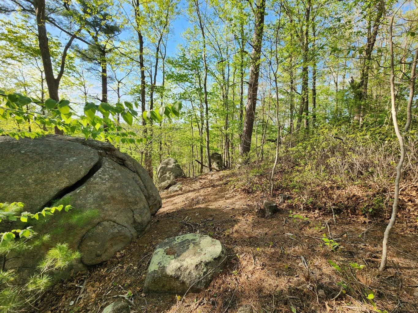 Lot 100 Lakeshore Terrace RD - Photo 13