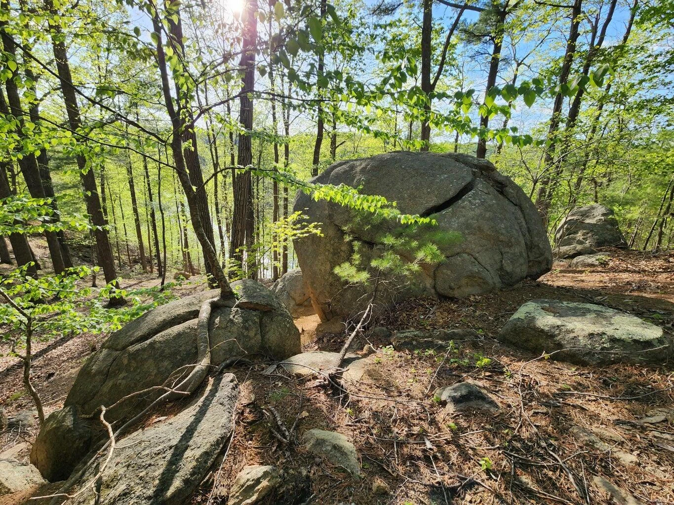 Lot 100 Lakeshore Terrace RD - Photo 14