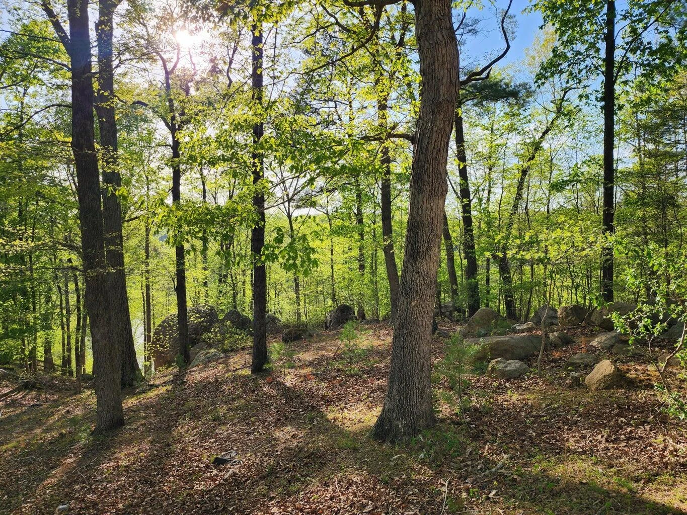 Lot 100 Lakeshore Terrace RD - Photo 15