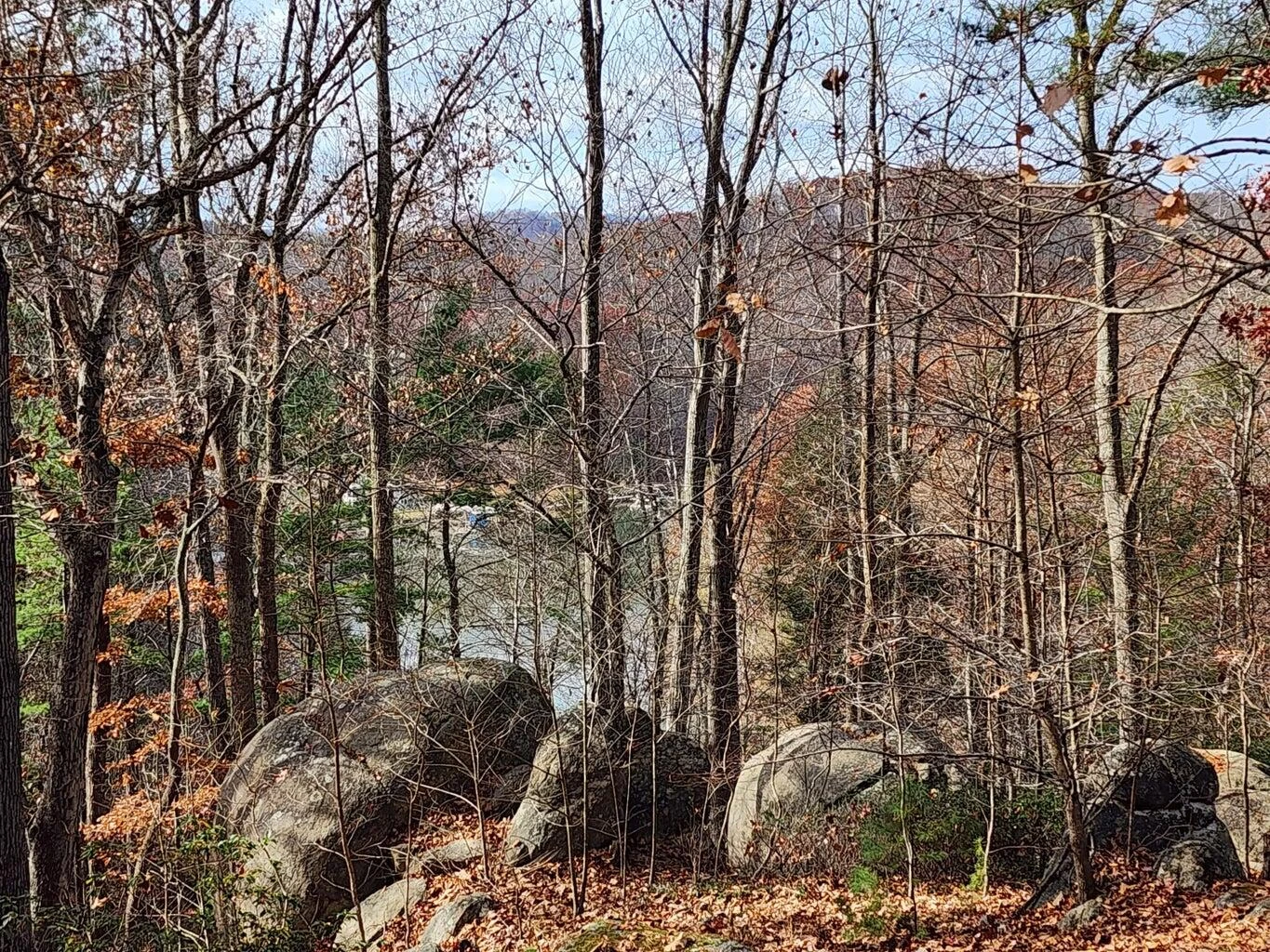 Lot 100 Lakeshore Terrace RD - Photo 3