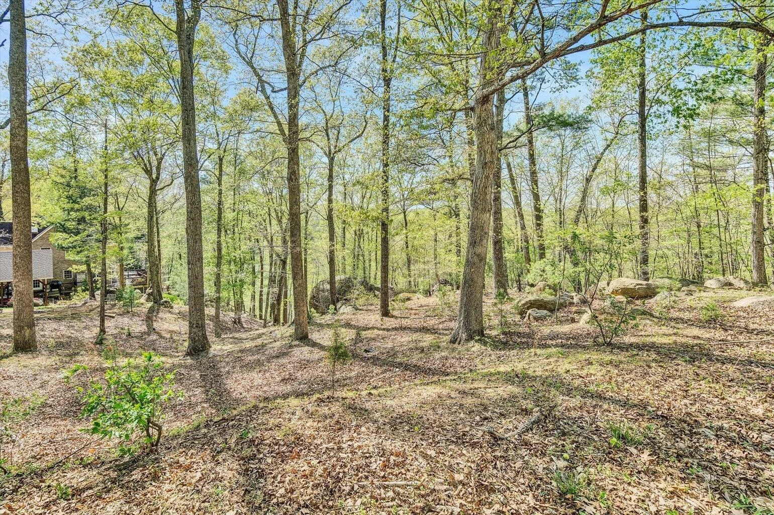 Lot 100 Lakeshore Terrace RD - Photo 4