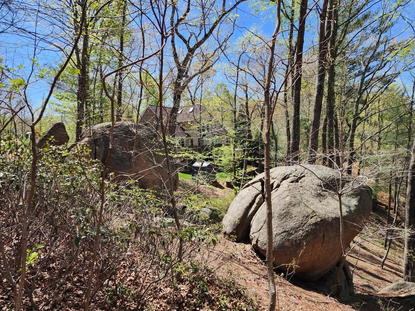 Lot 100 Lakeshore Terrace RD - Photo 6