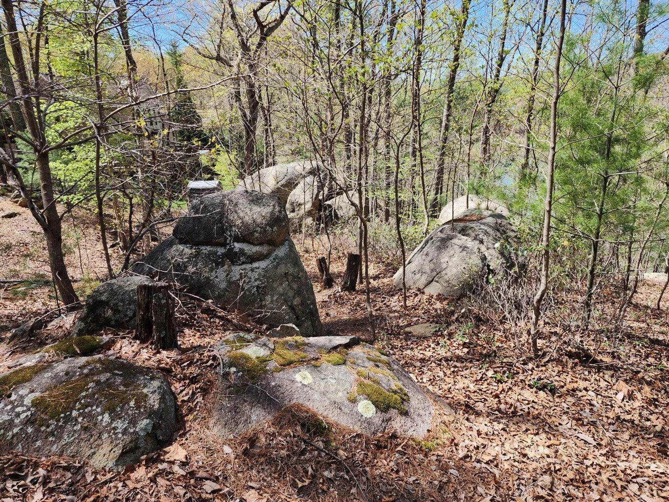 Lot 100 Lakeshore Terrace RD - Photo 7