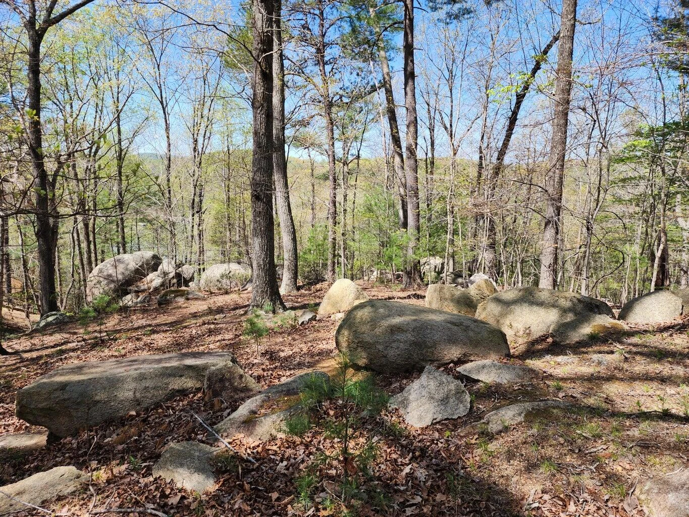 Lot 100 Lakeshore Terrace RD - Photo 8