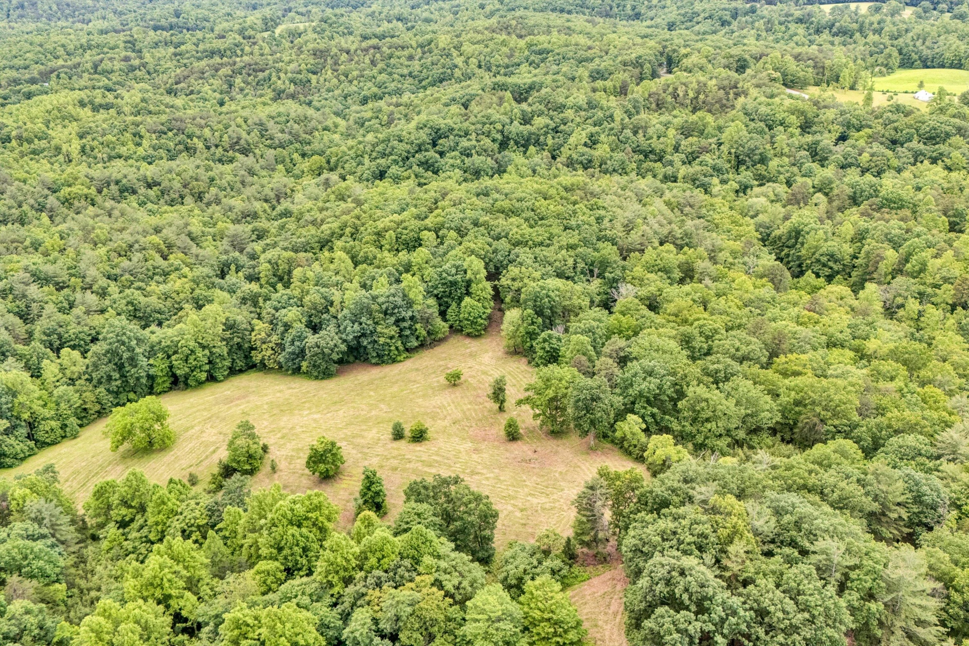 2745 Old Quarry RD - Photo 39
