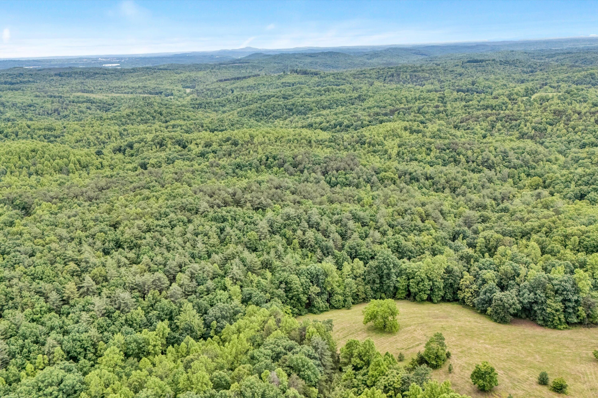 2745 Old Quarry RD - Photo 41