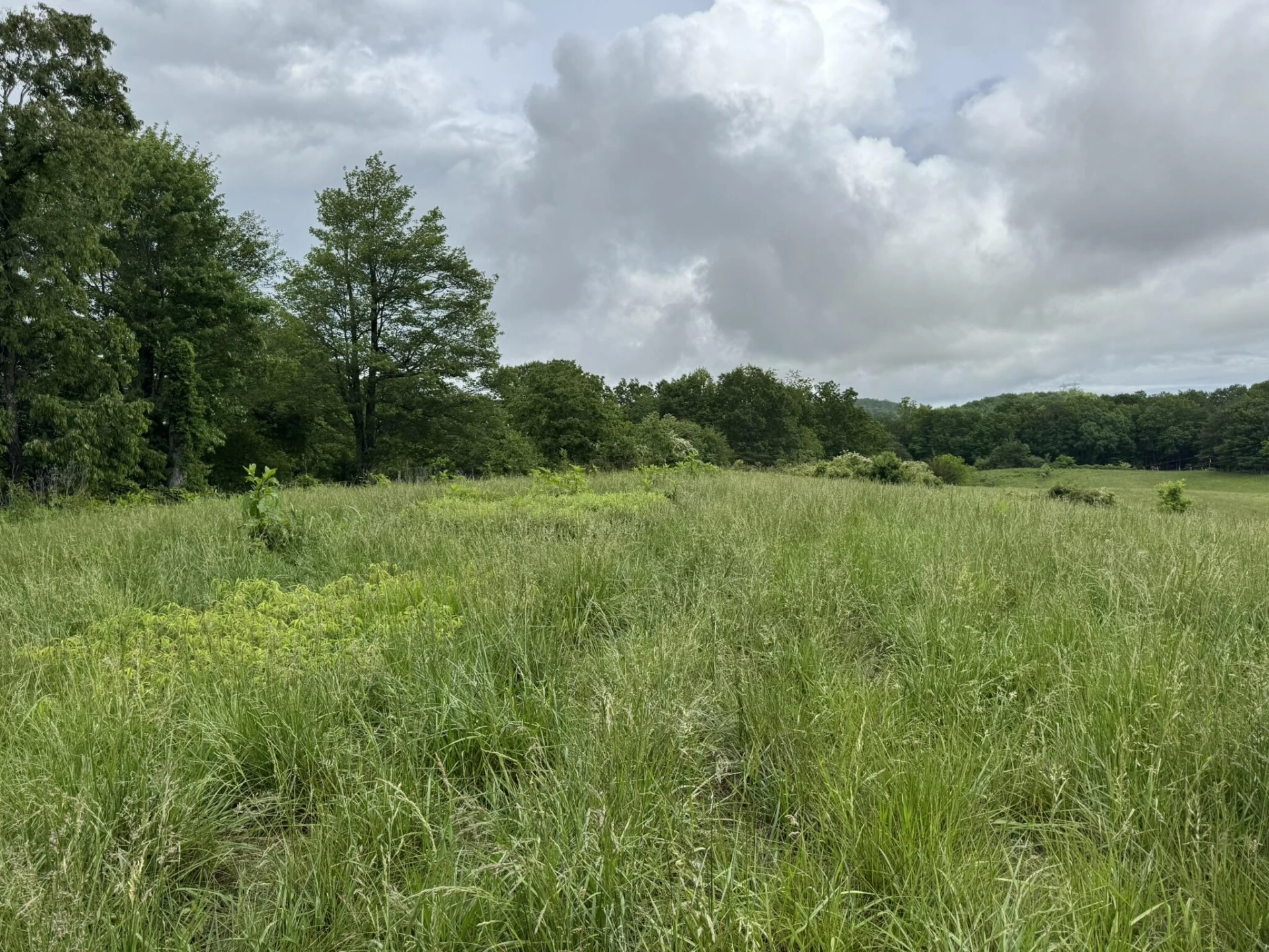 2745 Old Quarry RD - Photo 44