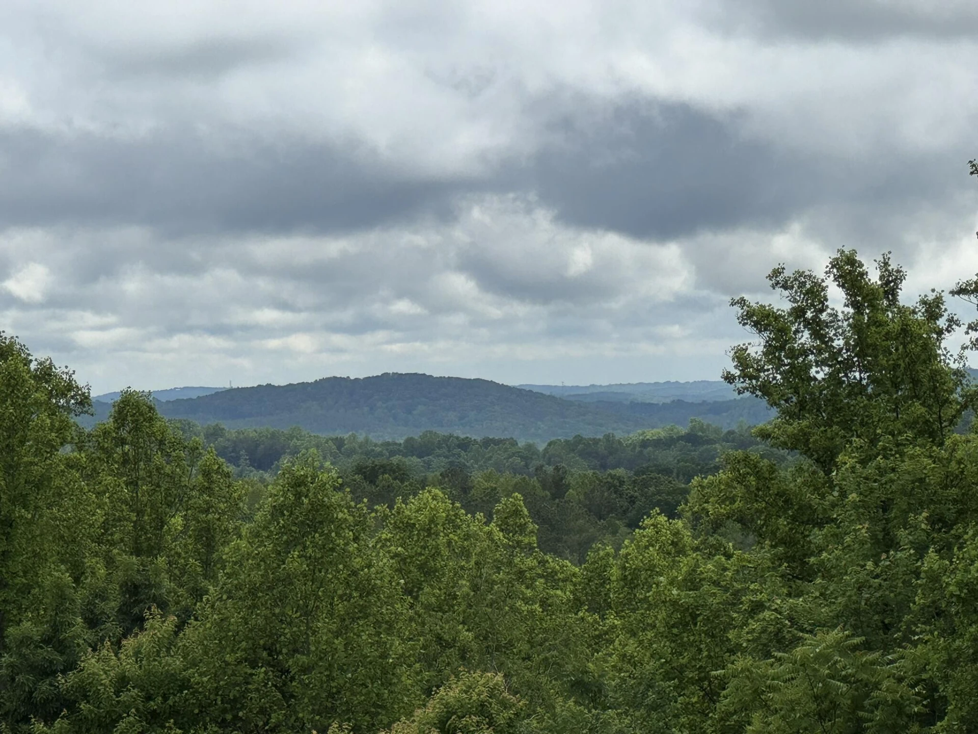 2745 Old Quarry RD - Photo 45