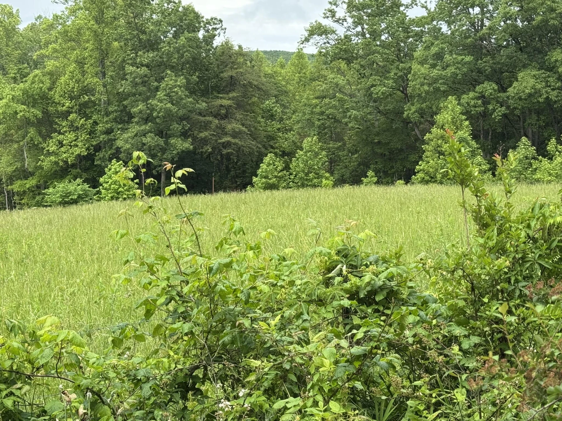 2745 Old Quarry RD - Photo 46