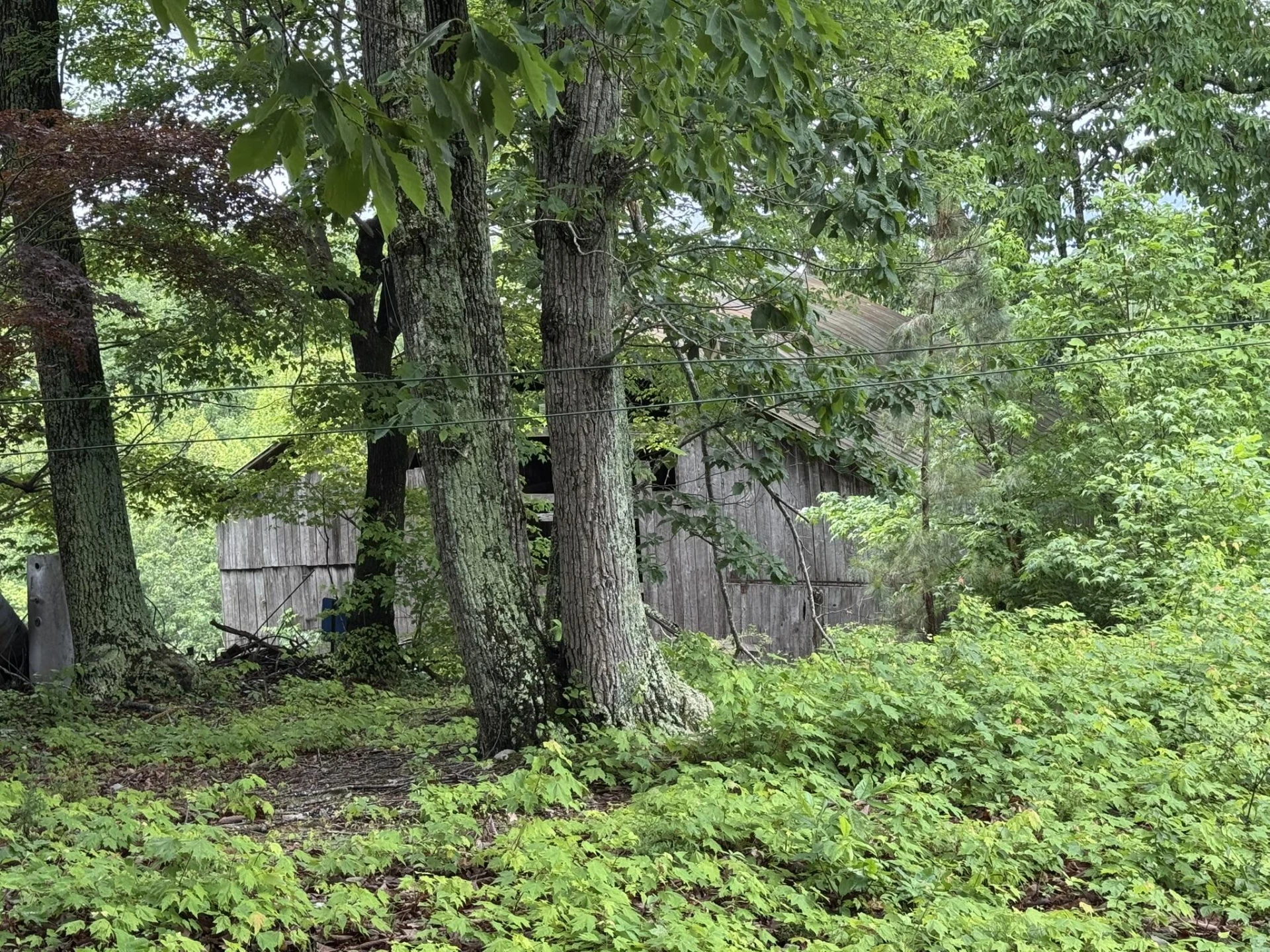 2745 Old Quarry RD - Photo 47