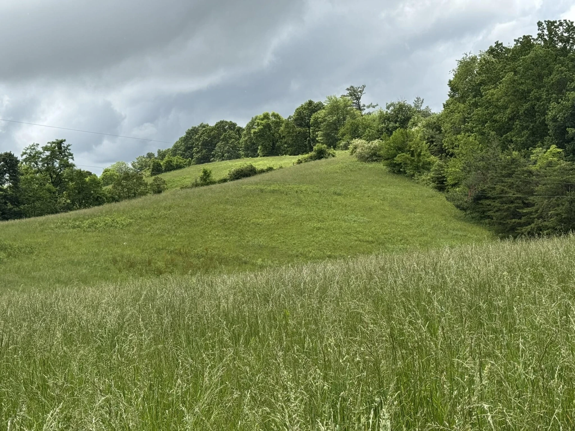 2745 Old Quarry RD - Photo 49