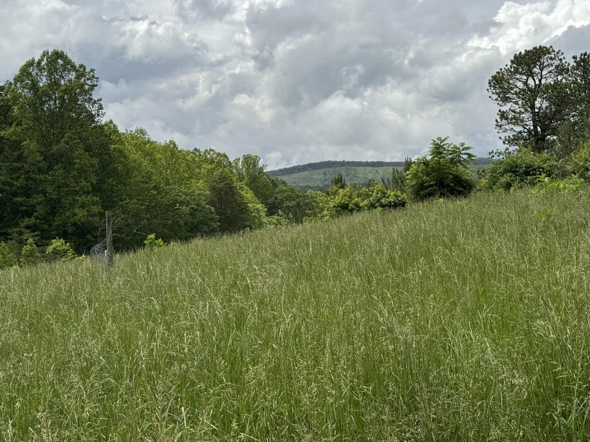 2745 Old Quarry RD - Photo 51