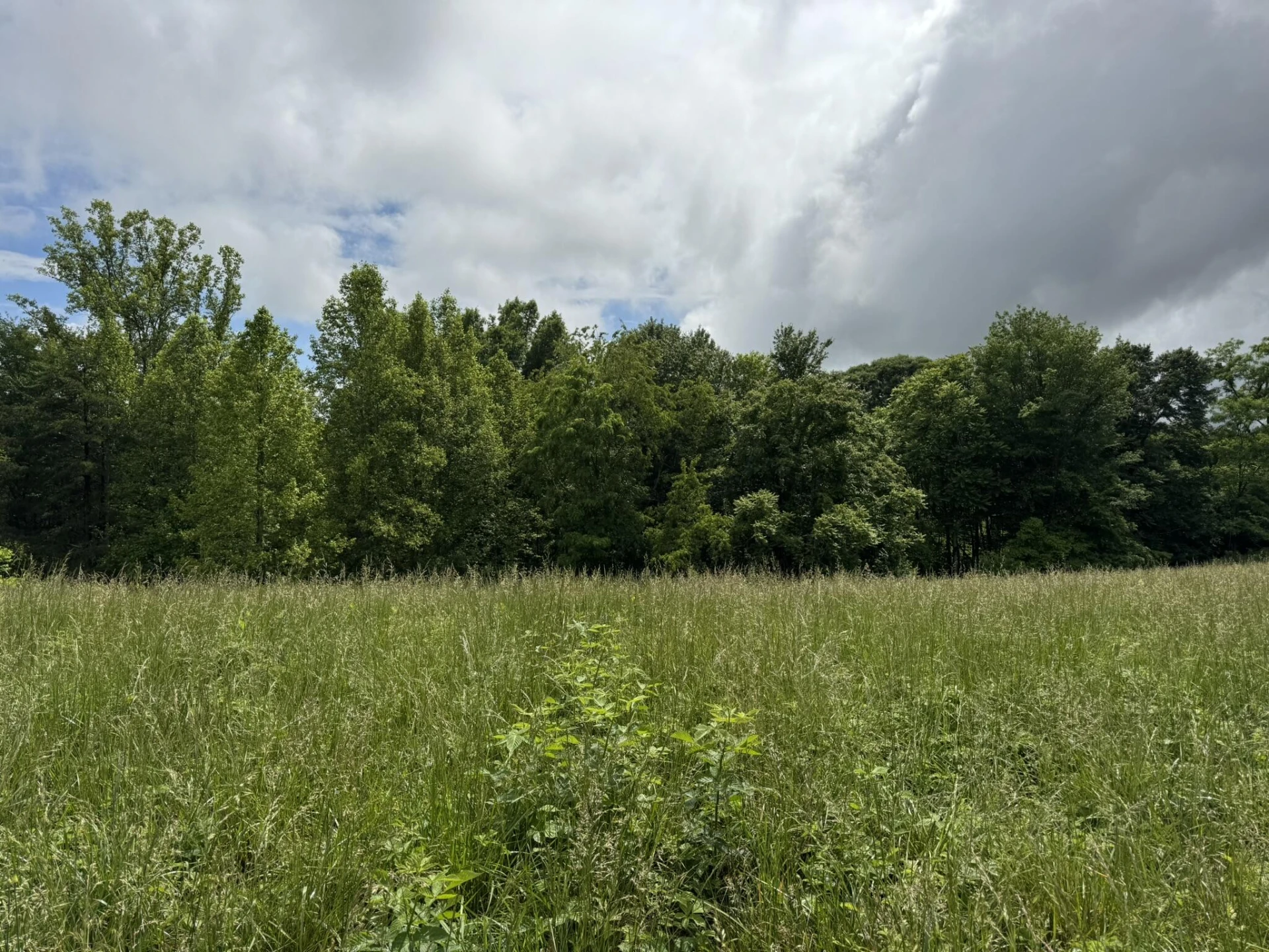 2745 Old Quarry RD - Photo 53
