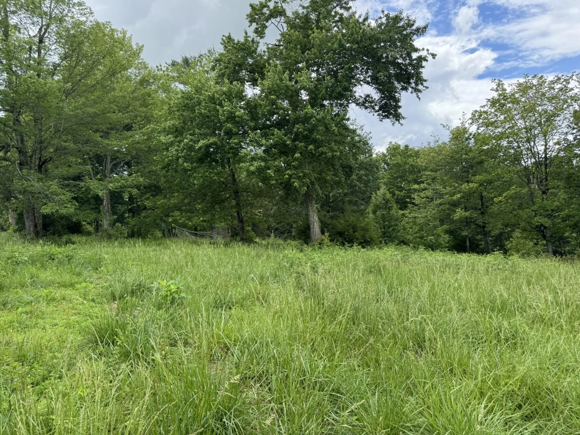 2745 Old Quarry RD - Photo 54