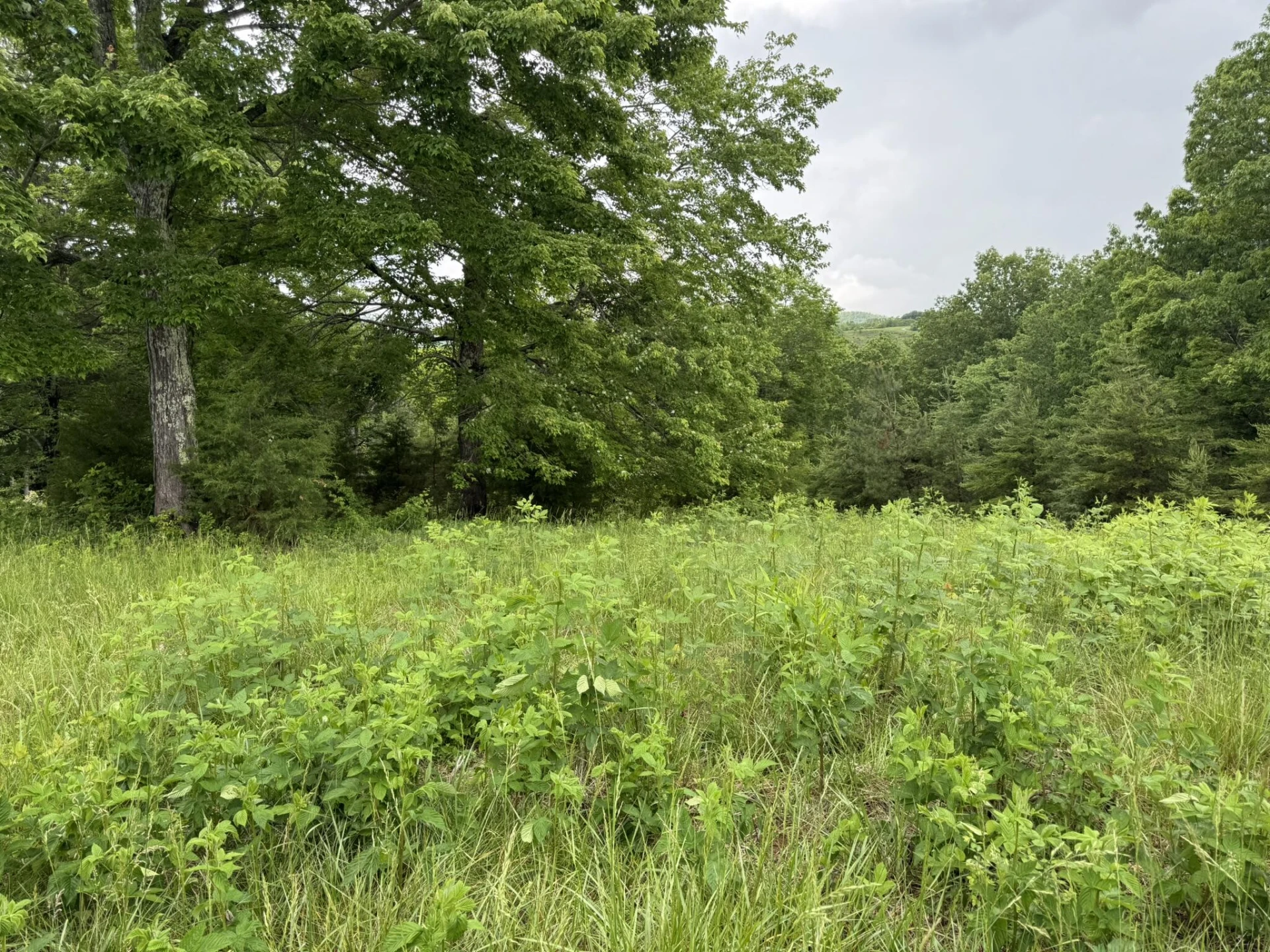 2745 Old Quarry RD - Photo 55