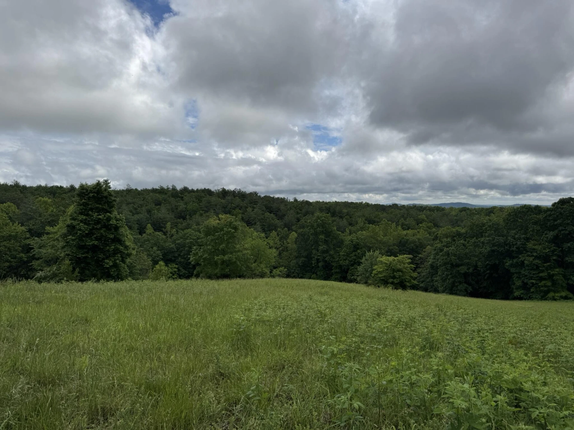 2745 Old Quarry RD - Photo 56