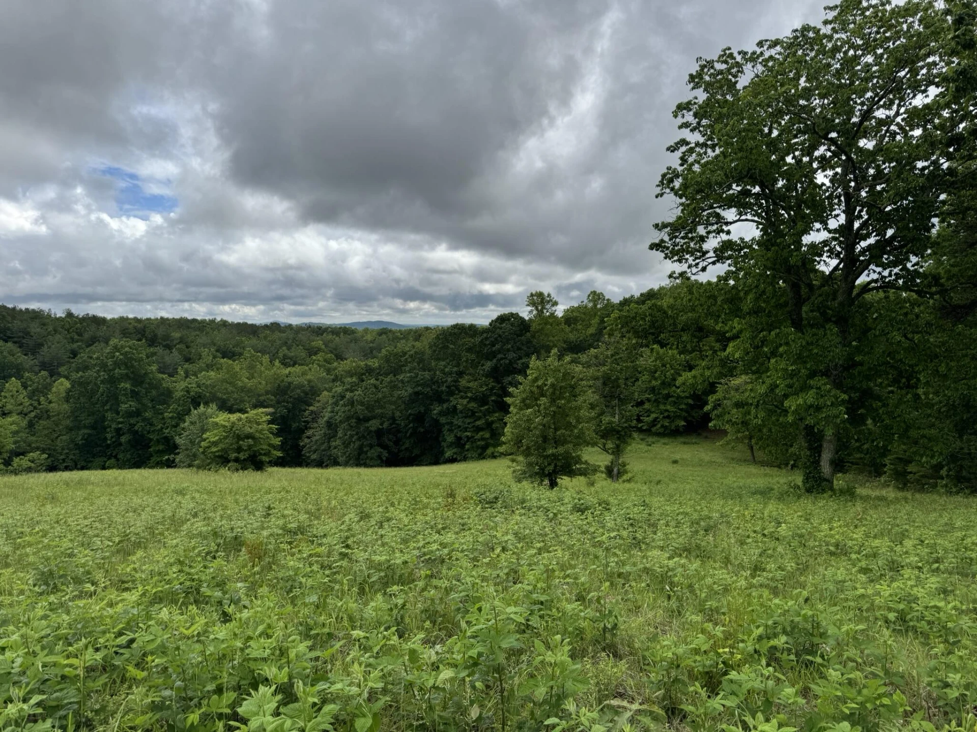 2745 Old Quarry RD - Photo 57