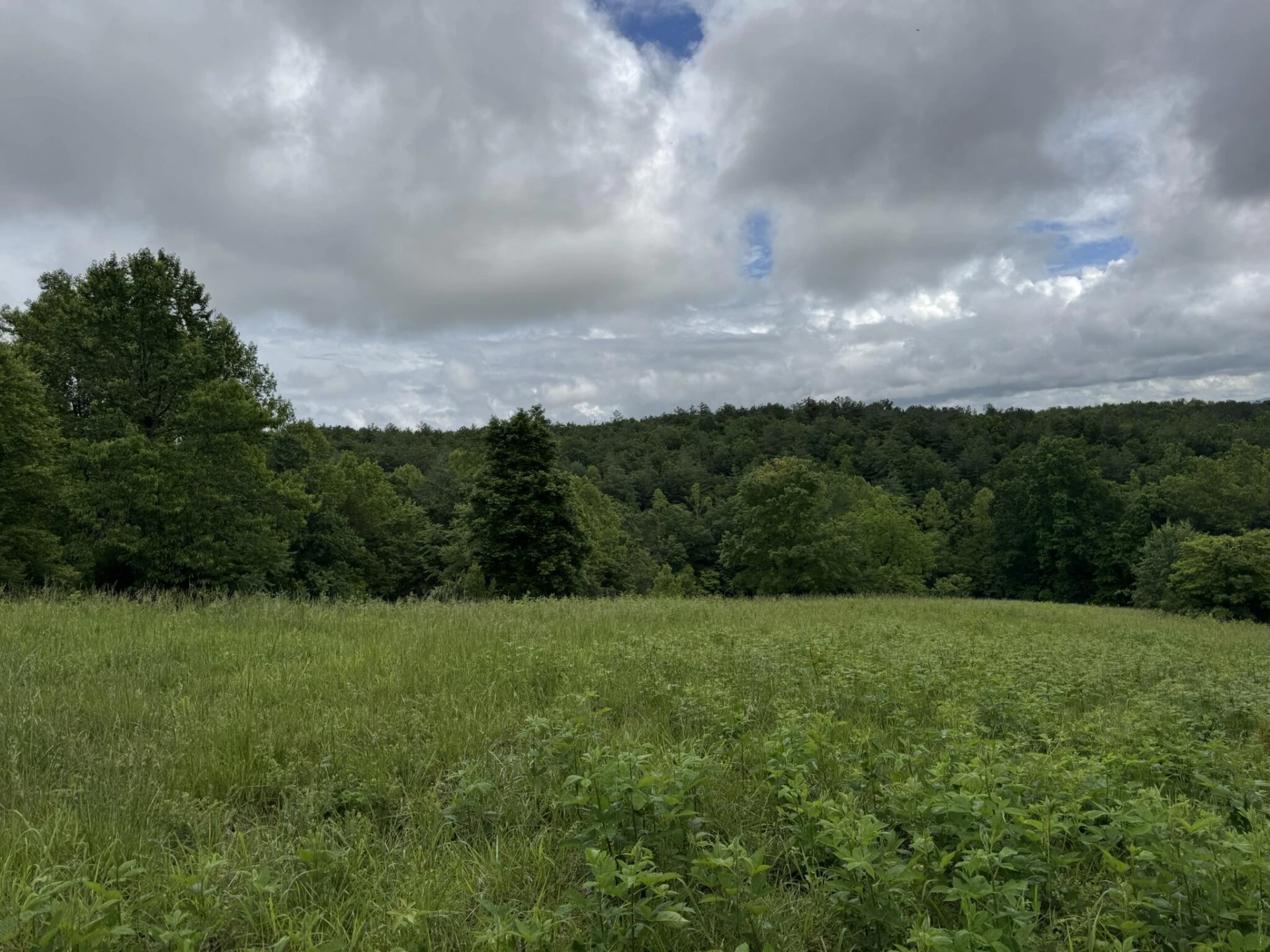 2745 Old Quarry RD - Photo 58
