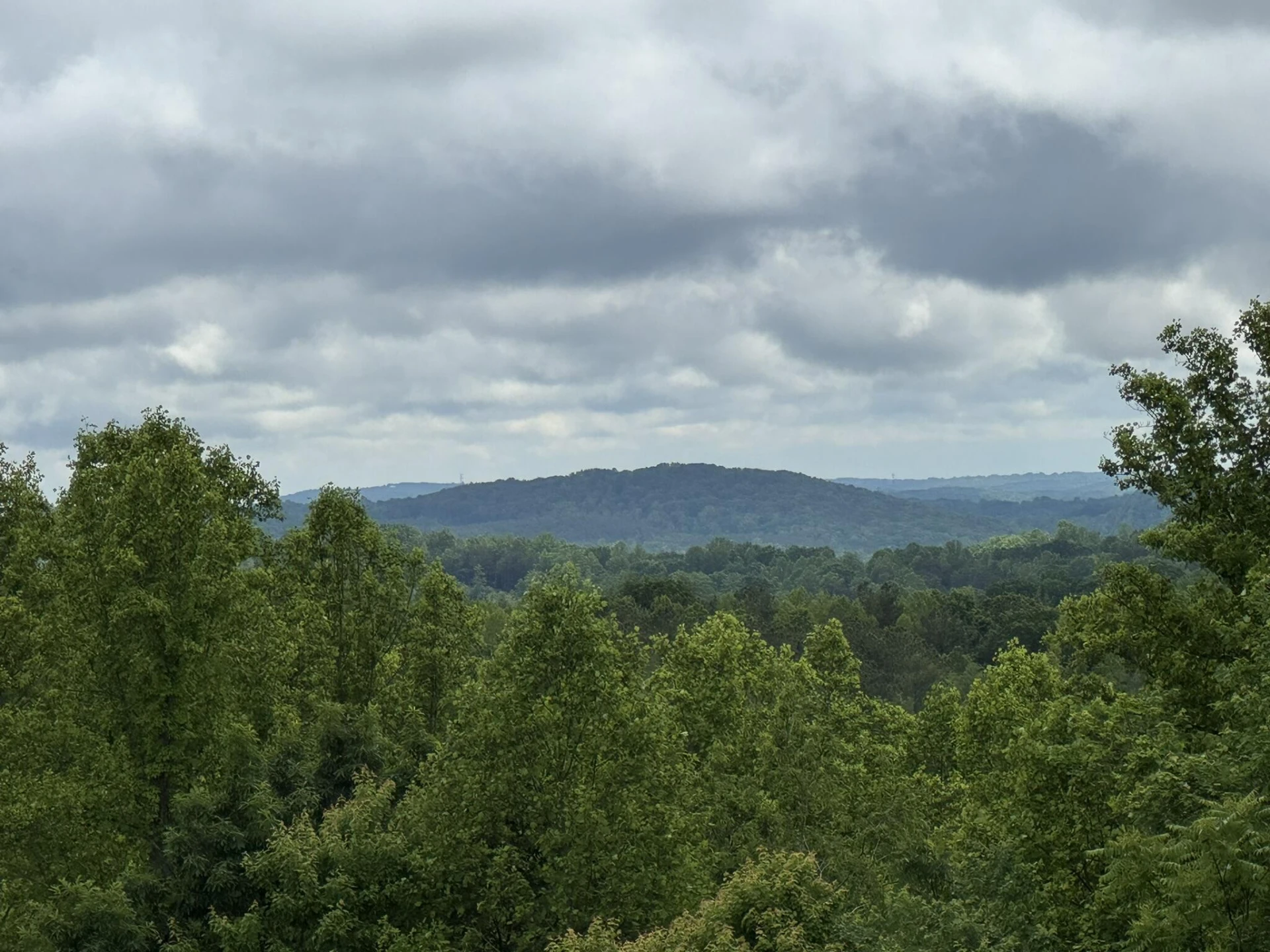 2745 Old Quarry RD - Photo 59