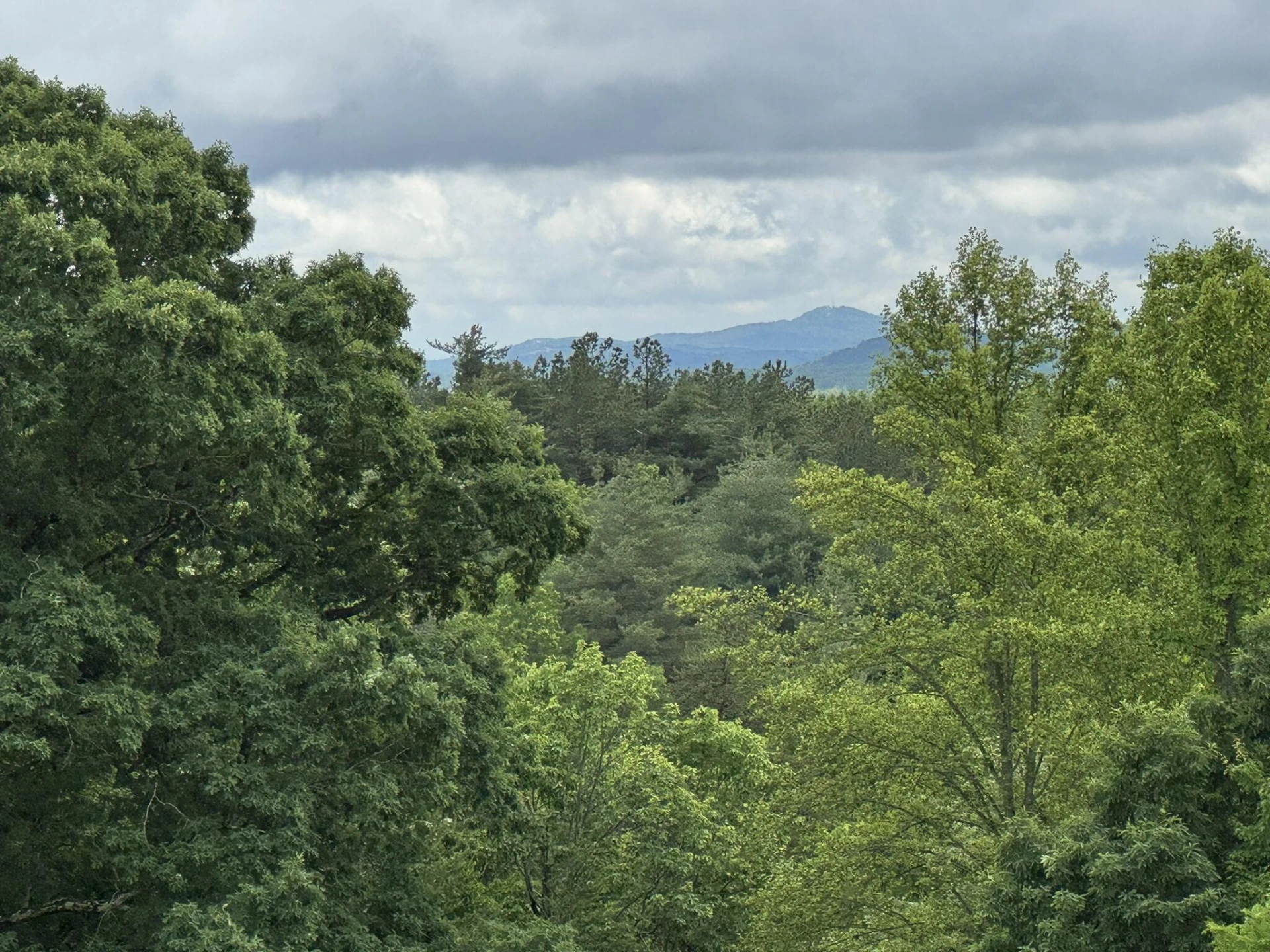 2745 Old Quarry RD - Photo 60