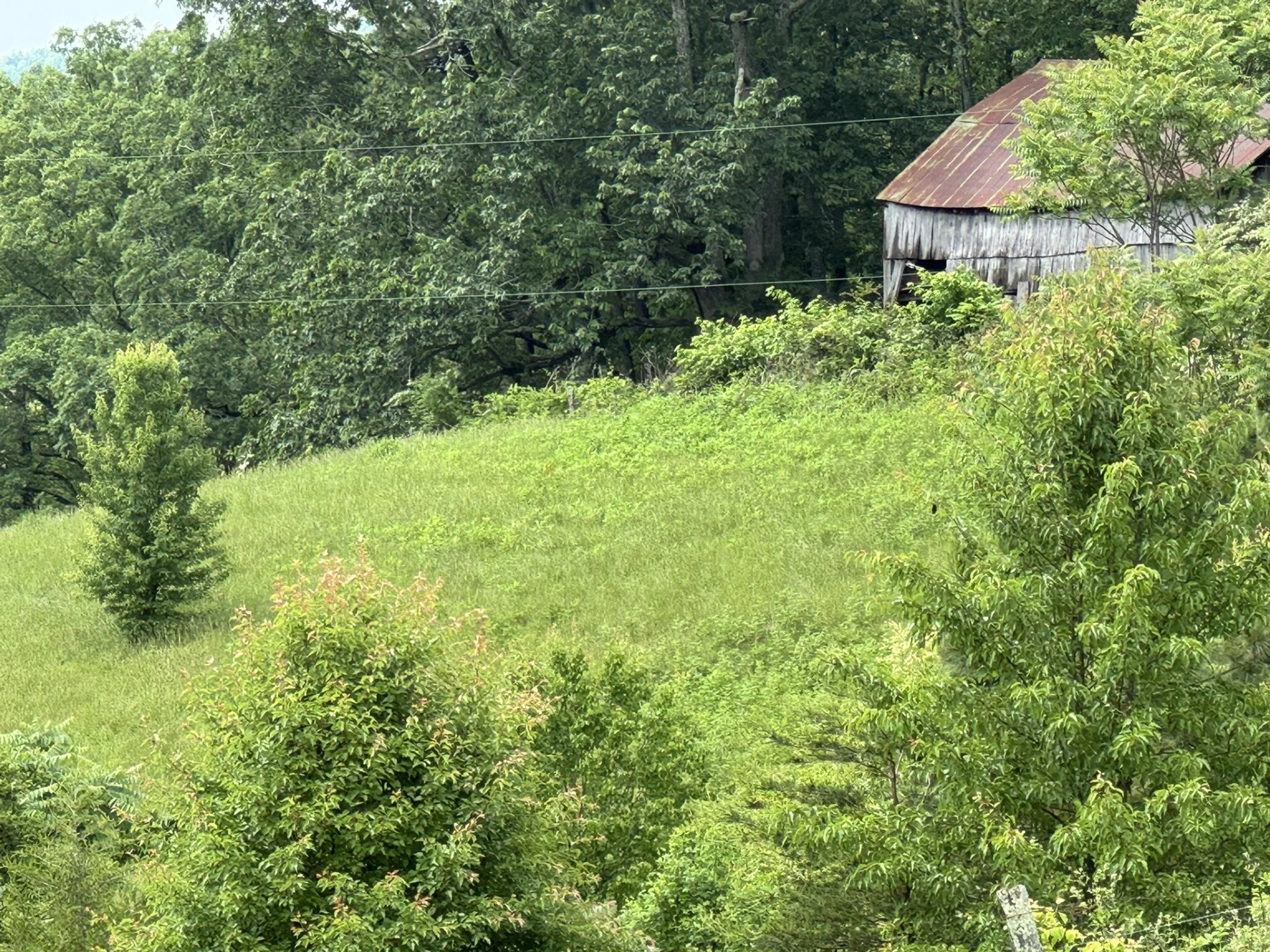 2745 Old Quarry RD - Photo 61