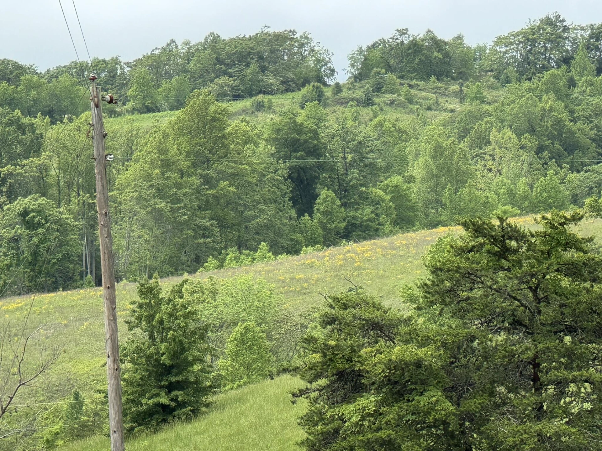 2745 Old Quarry RD - Photo 62